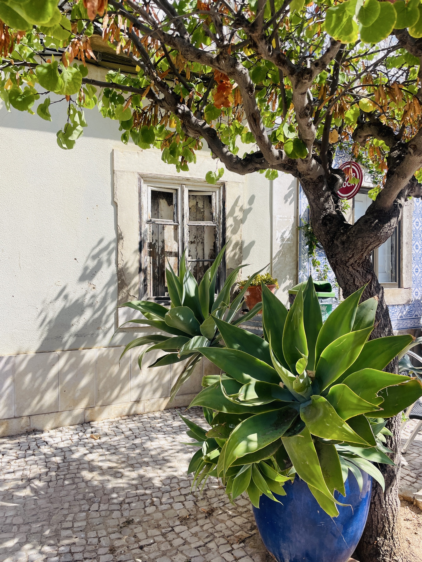 Galeriebild Yoga & Detox Retreat Portugal