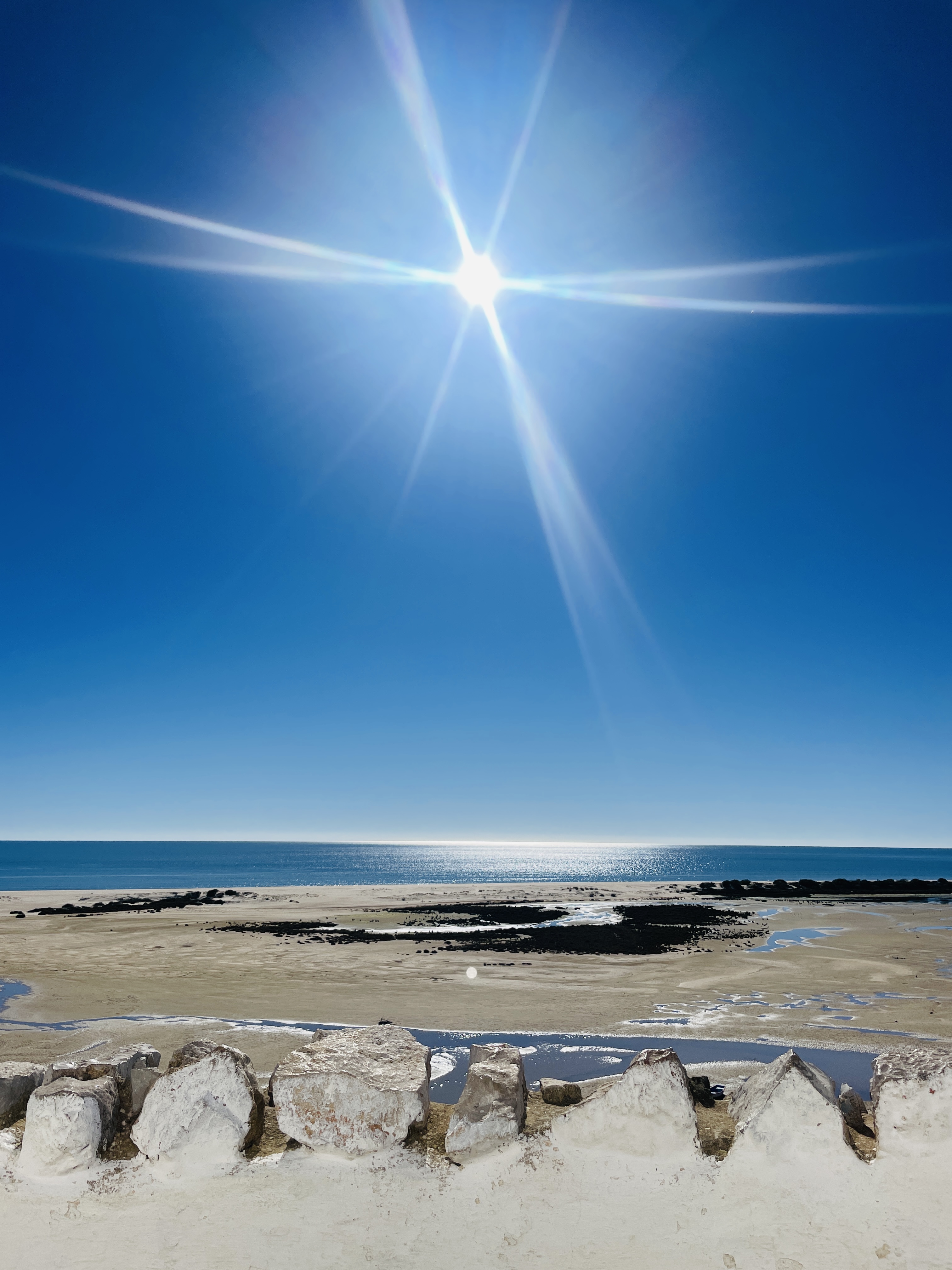 Galeriebild Yoga & Detox Retreat Portugal