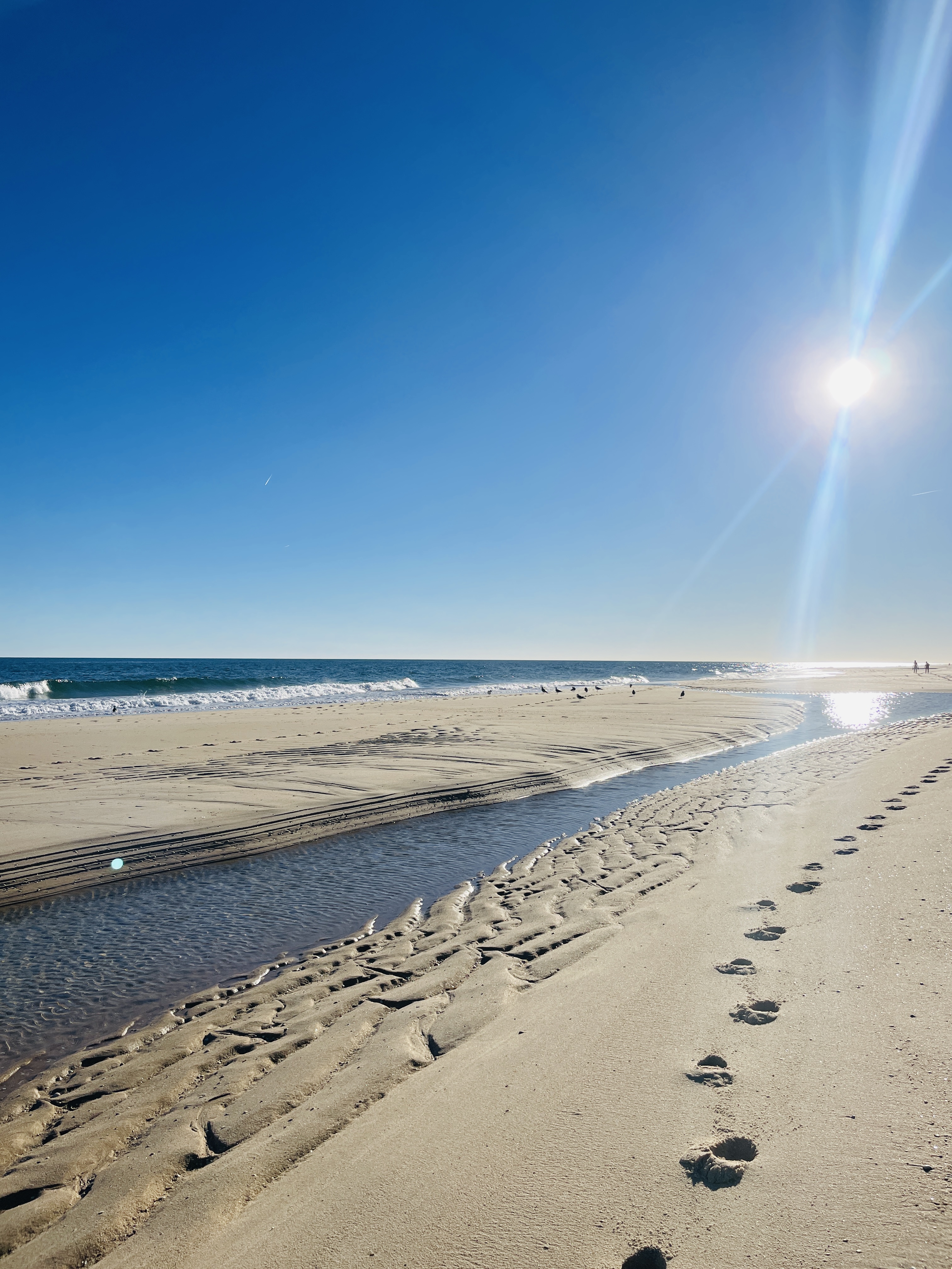 Galeriebild Yoga & Detox Retreat Portugal