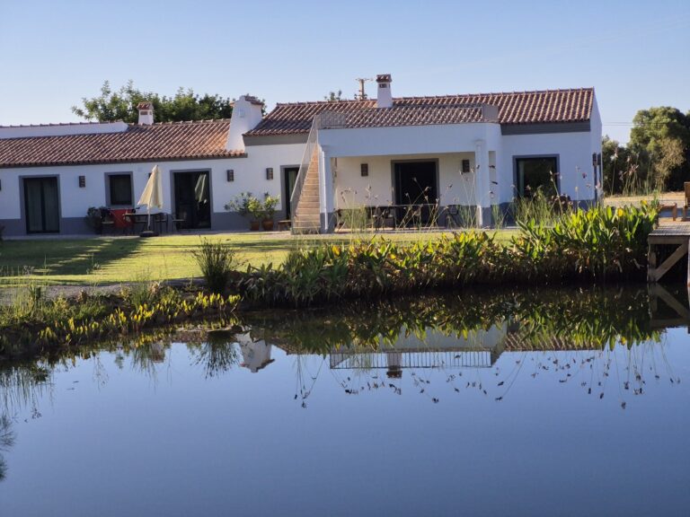 Galeriebild Yoga & Detox Retreat Portugal